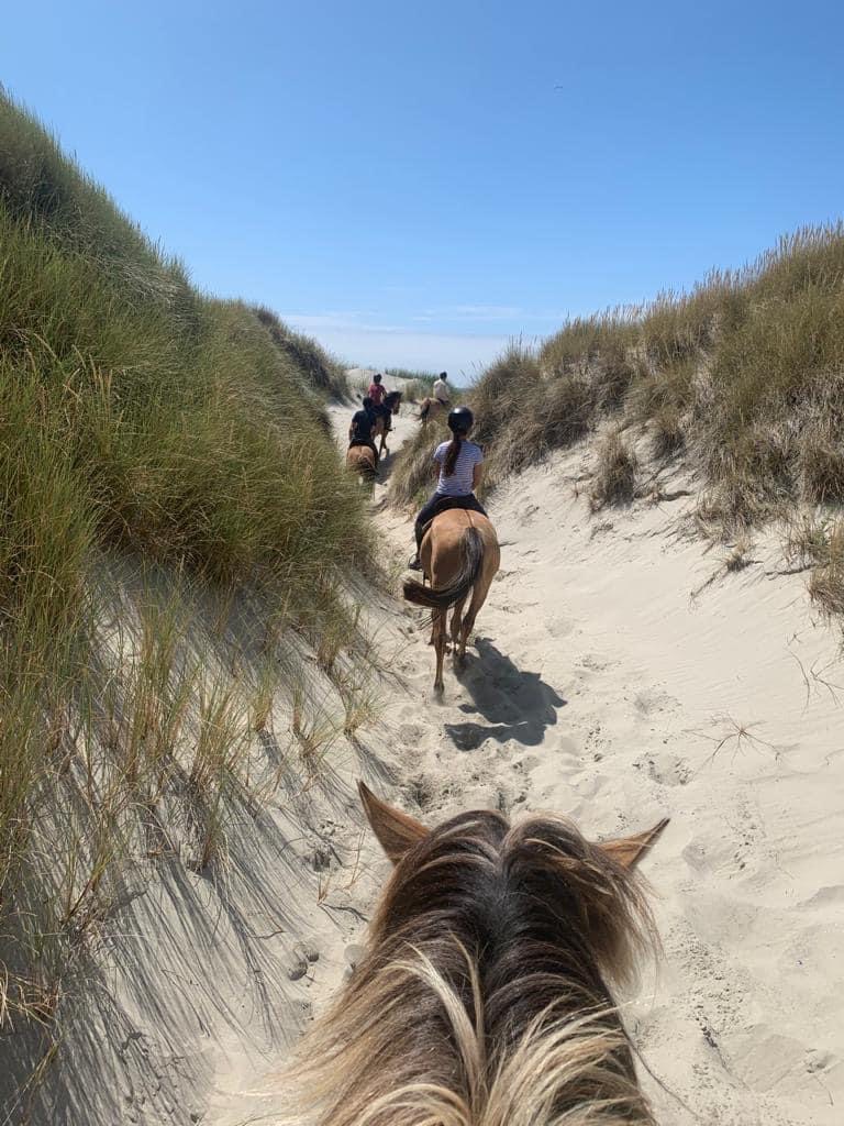 Sortie avec la Section Equitation - Parc Naturel de Marquenterre